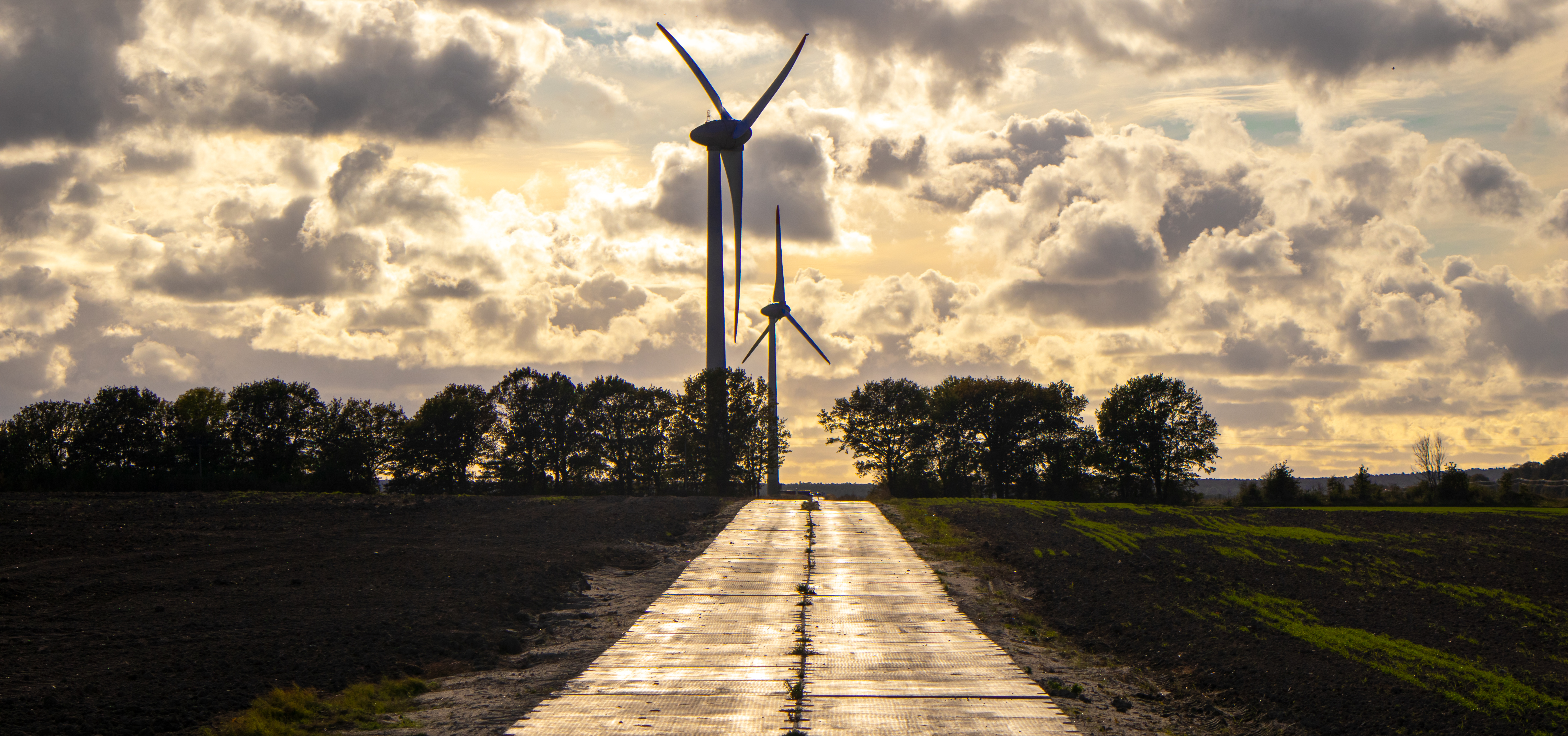 «Янтарьэнерго» предупреждает об усилении ветра