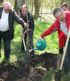 Сохраним энергию леса!