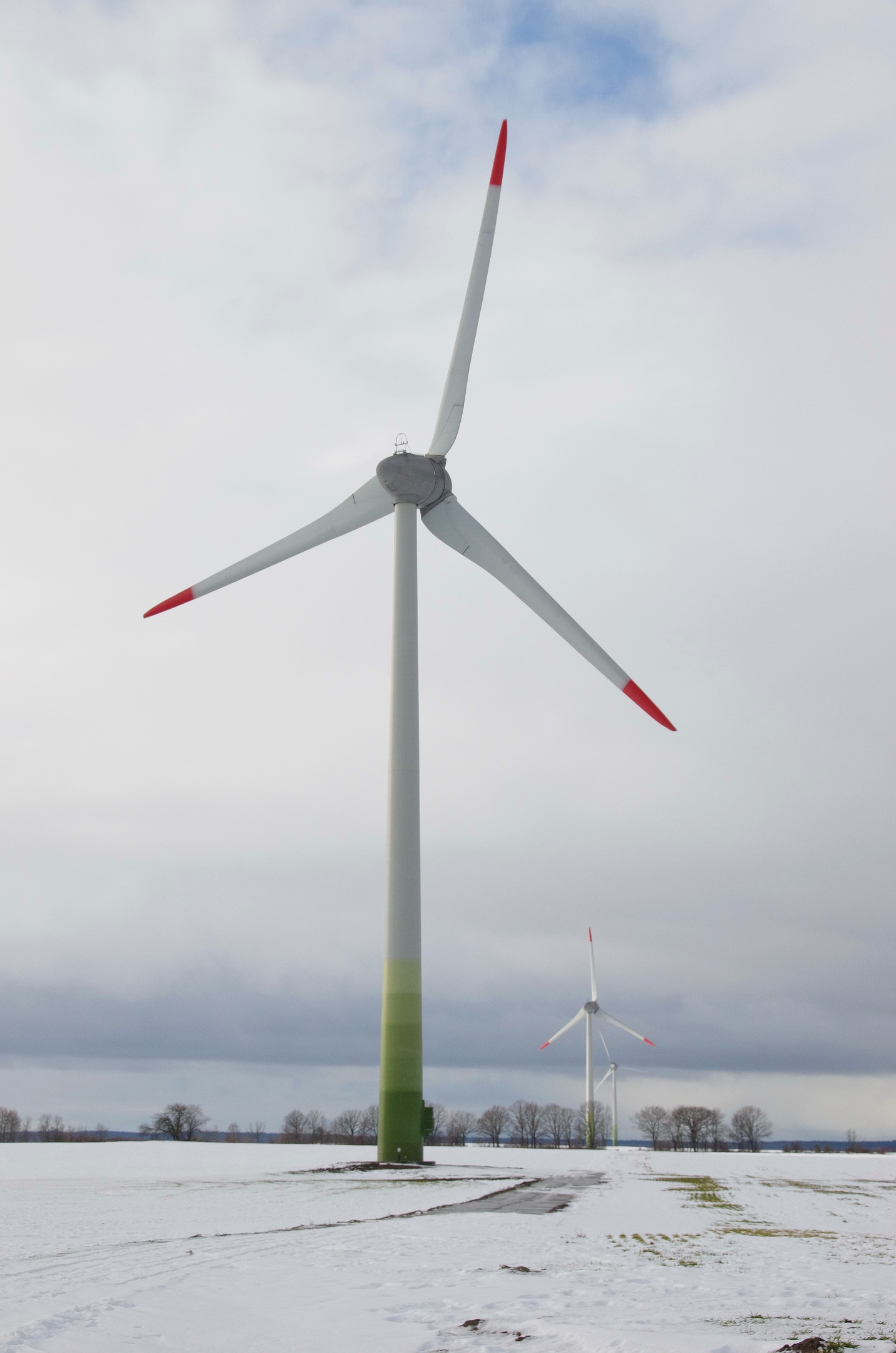 «Янтарьэнерго» предупреждает об усилении ветра