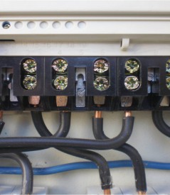 Ответственность за воровство должна быть неотвратимой