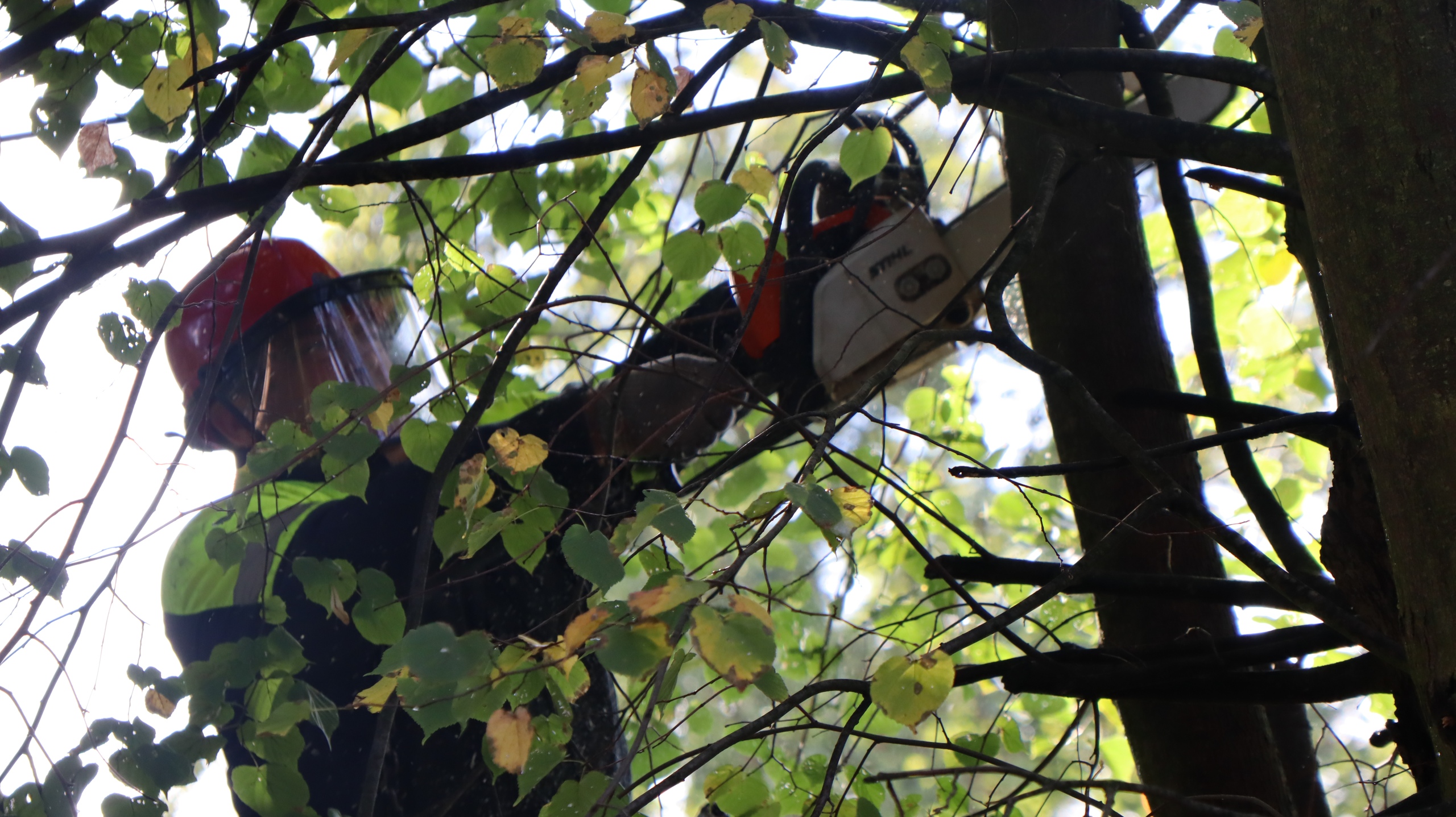 За полтора месяца учений «Янтарьэнерго» выполнило ремонт более 160 трансформаторных подстанций