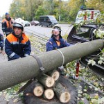 Штормовые ветры в Калининградской области 19 ноября не привел к массовым отключениям потребителей от электроснабжения.