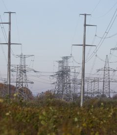 Неизвестные обесточили пять поселков Гурьевского района Неизвестные обесточили пять поселков Гурьевского района