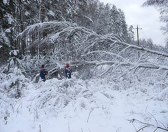Осенне-зимний период пройден успешно