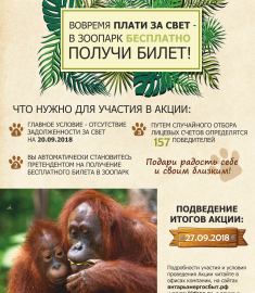 За свет вовремя плати – бесплатный билет в зоопарк получи! За свет вовремя плати – бесплатный билет в зоопарк получи!