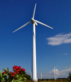 Объявлен конкурс на реконструкцию ветропарка