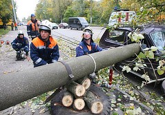 Штормовые ветры в Калининградской области 19 ноября не привел к массовым отключениям потребителей от электроснабжения.