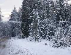 Масштабных отключений не было Масштабных отключений не было
