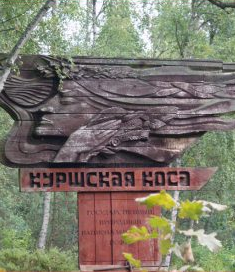 Игорь Маковский: «До конца года «Янтарьэнерго» обеспечит энергонезависимость Куршской косы» Игорь Маковский: «До конца года «Янтарьэнерго» обеспечит энергонезависимость Куршской косы»