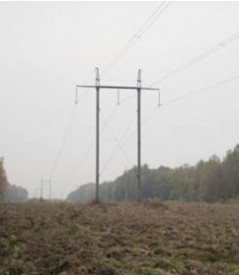 Расчистка просек линий электропередачи почти на треть опережает план